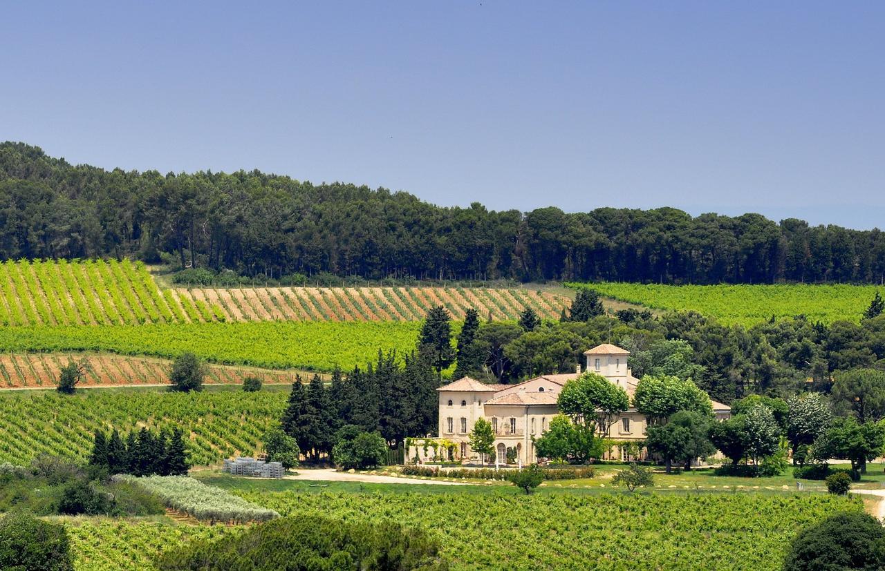Chambre d'hôtes Château Gigognan Sorgues Ngoại thất bức ảnh